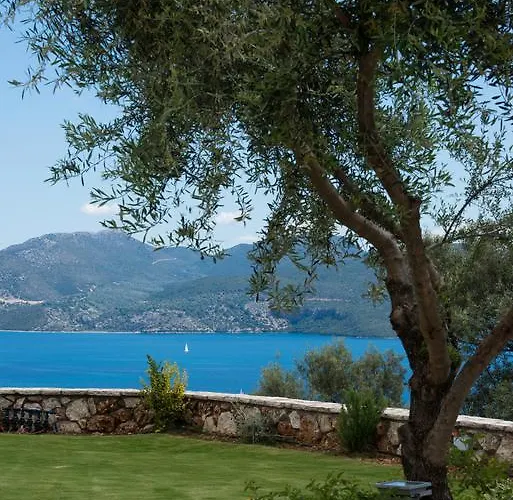 빌라 Pearl Mansions 니키아나